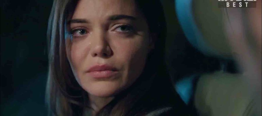 Мошенники 7 серия турецкий сериал